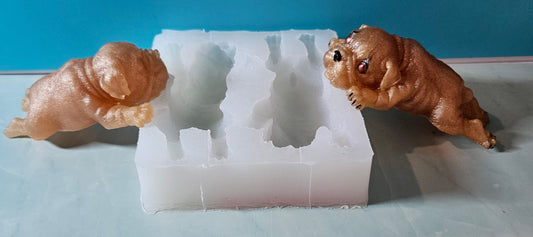 Mini Pitbull Mix Mold