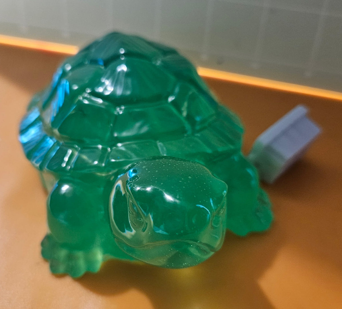 Turtle