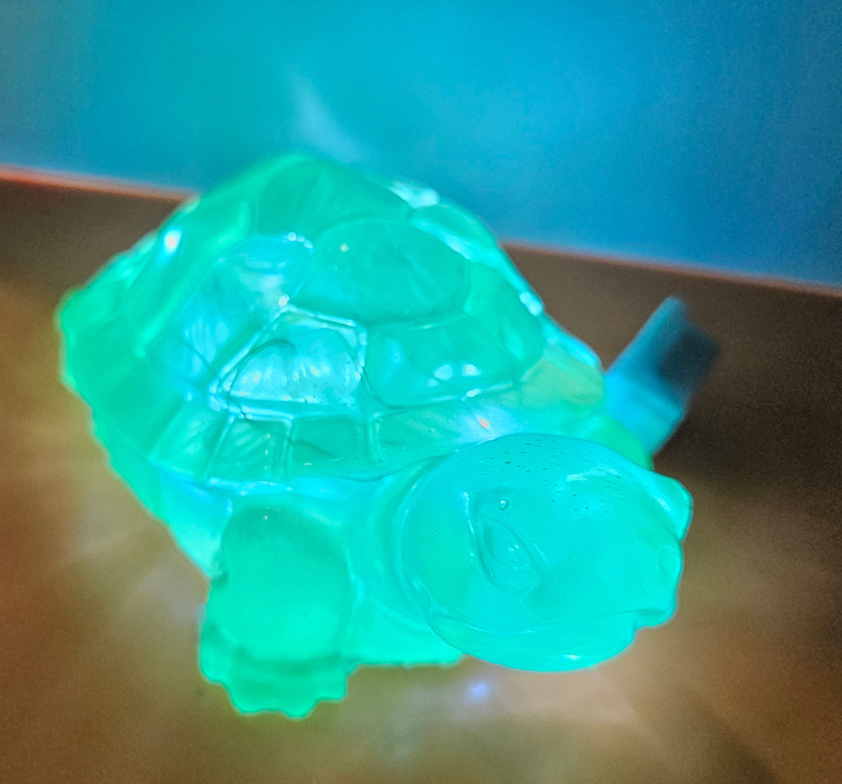 Turtle